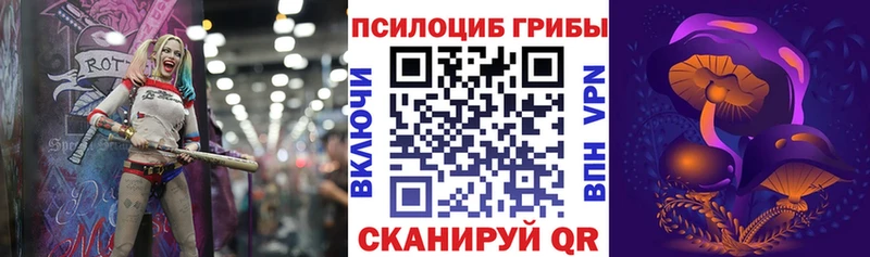 Псилоцибиновые грибы Psilocybe  как найти наркотики  Катав-Ивановск 