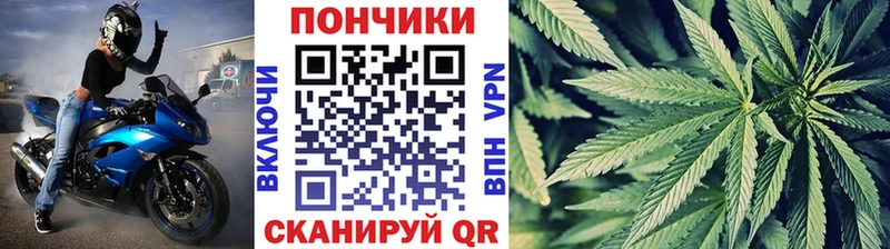 где купить наркотик  Катав-Ивановск  Канабис SATIVA & INDICA 